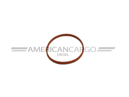CAUCHO CAMISA INTERNATIONAL DT 530 1 CORREA