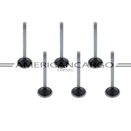 VALVULA ESCAPE MOTOR FORD CARGO 1721 -CUMMINS 6CT (USA 6)