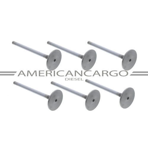 VALVULA ADMISION MOTOR FORD CARGO 1721 -CUMMINS 6CT (USA 6)