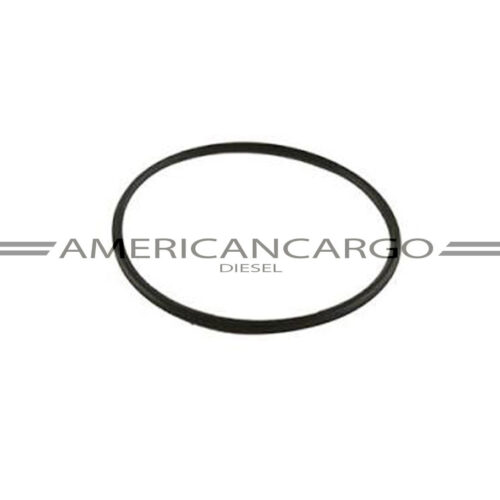 CAUCHO INYECTOR (PEQUEÑO) FREIGHTLINER COLUMBIA -DETROIT SERIE 60 (USA 12)(SE VENDEN 12) :R.U