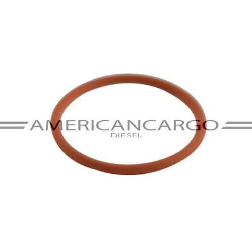 CAUCHO INYECTOR (GRANDE) FREIGHTLINER COLUMBIA -DETROIT SERIE 60 (USA 6)(SE VENDEN 6)