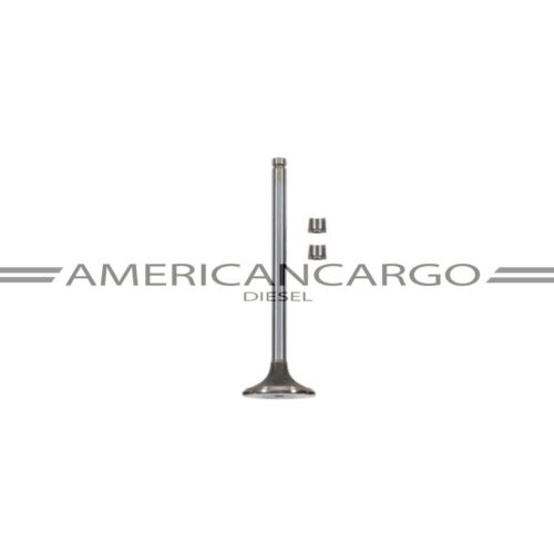 VALVULA ESCAPE MOTOR FORD CARGO 1721 -CUMMINS 6CT (USA 6)(SE VENDEN 6)